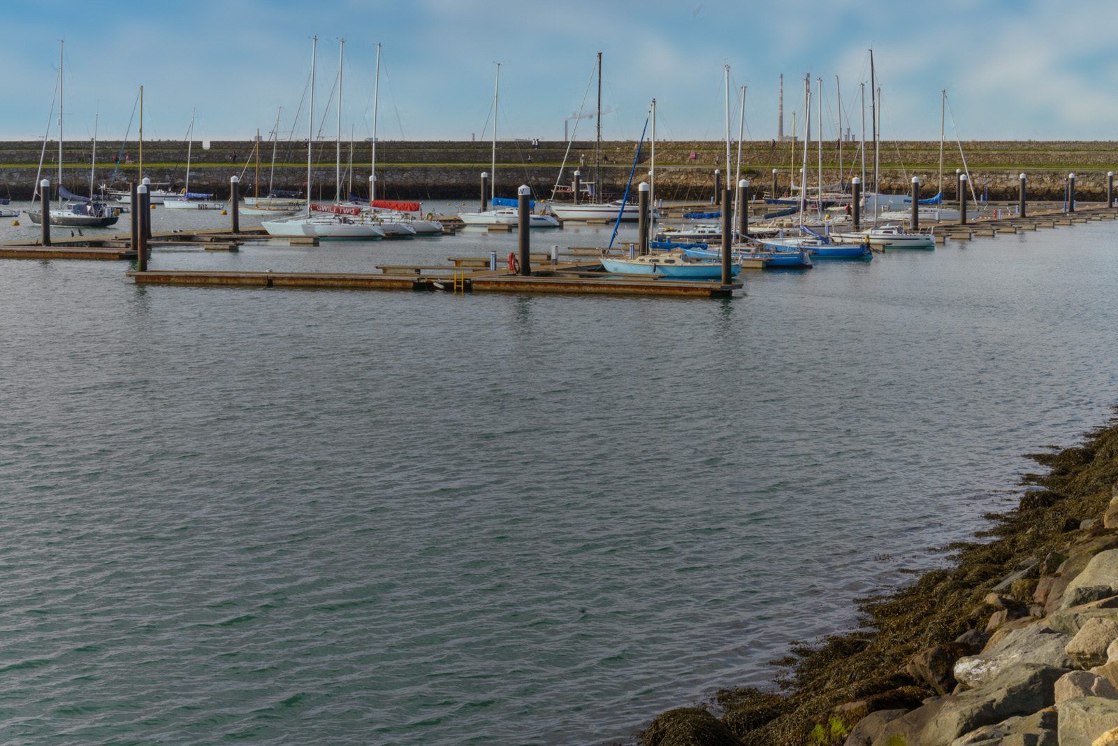 THE SECTION OF THE MARINA NEAR THE WESTERN BREAKWATER [DUN LAOGHAIRE HARBOUR] 010