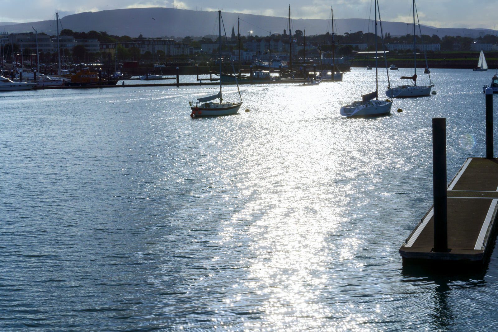 THE SECTION OF THE MARINA NEAR THE WESTERN BREAKWATER [DUN LAOGHAIRE HARBOUR] 013