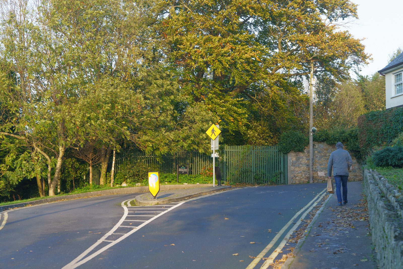 WOODVIEW COTTAGES AND RATHFARNHAM HILL [EARLY NOVEMBER 2023]-224891-1