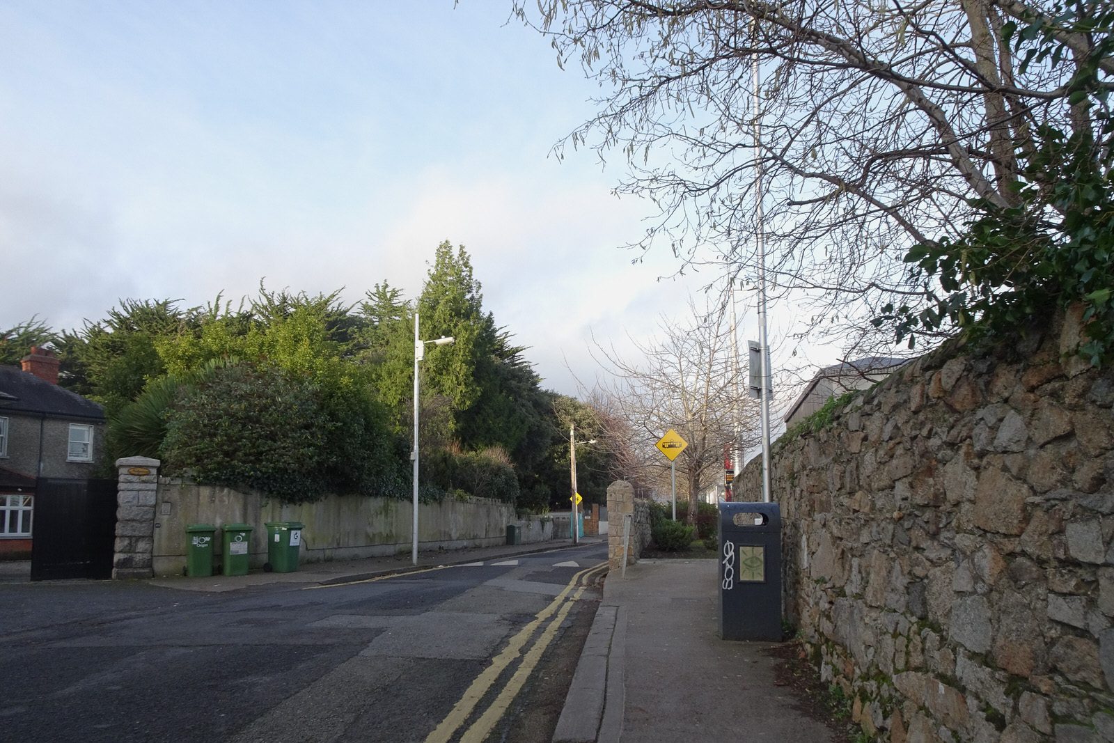 THE MILLTOWN LUAS TRAM STOP A FEW DAYS BEFORE CHRISTMAS DAY [AND NEARBY]-226258-1