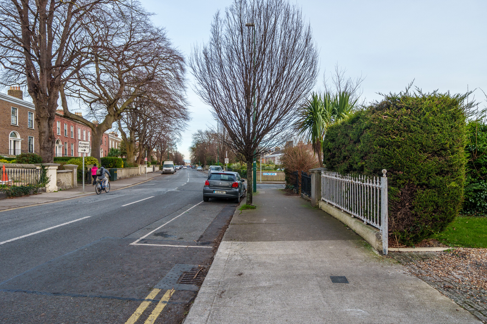 EXPLORING LEINSTER ROAD [THERE WAS EVEN A CHERRY BLOSSOM IN FLOWER]-227241-1