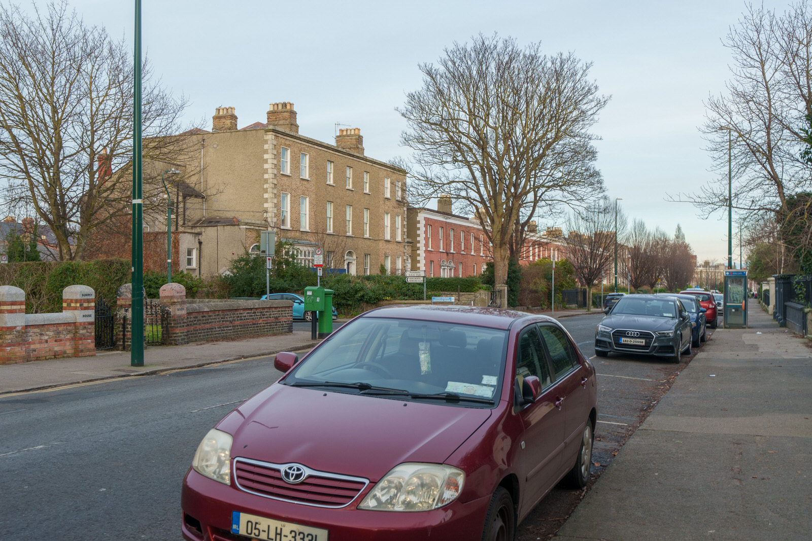 EXPLORING LEINSTER ROAD [THERE WAS EVEN A CHERRY BLOSSOM IN FLOWER]-227260-1