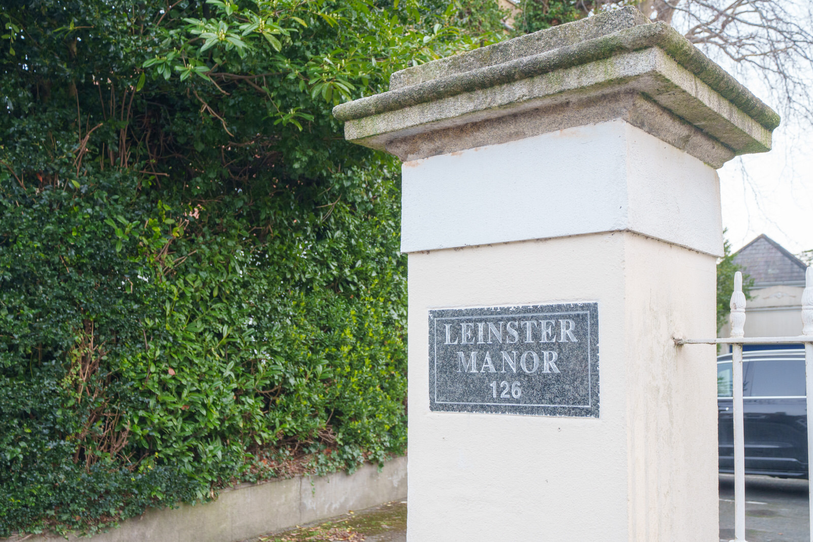 EXPLORING LEINSTER ROAD [THERE WAS EVEN A CHERRY BLOSSOM IN FLOWER]-227261-1