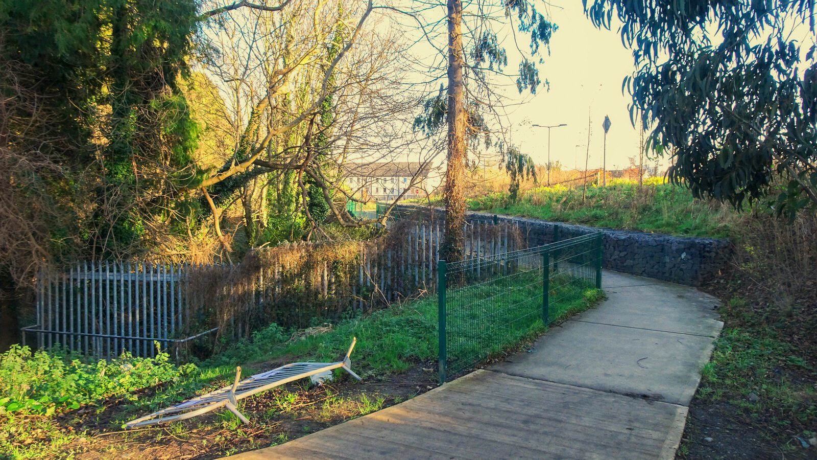 RANDOM IMAGES OF THE UNIVERSITY OF DUBLIN CAMPUS [MY MOTHER WHO IS 104 IN MAY DID NOT WANT TO COME WITH ME AS IT WAS TOO COLD]-226677-1