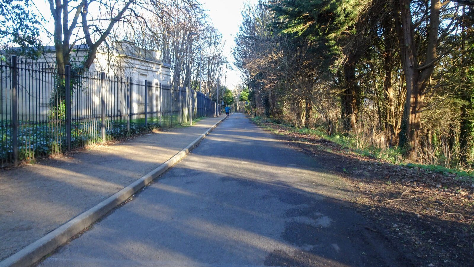 RANDOM IMAGES OF THE UNIVERSITY OF DUBLIN CAMPUS [MY MOTHER WHO IS 104 IN MAY DID NOT WANT TO COME WITH ME AS IT WAS TOO COLD]-226681-1