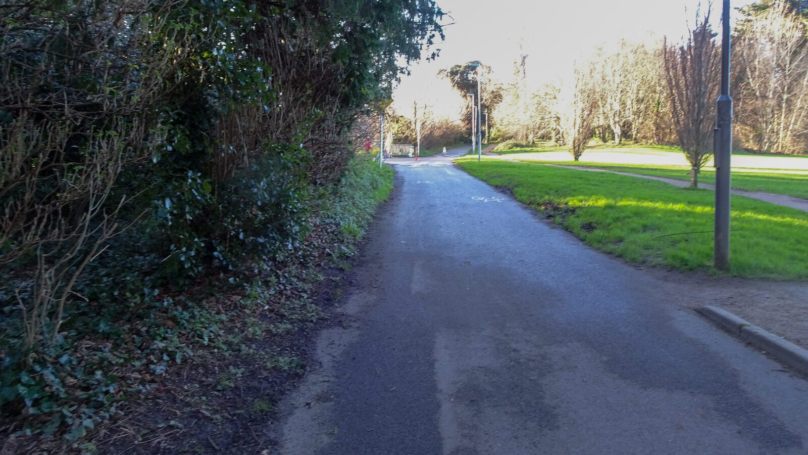 RANDOM IMAGES OF THE UNIVERSITY OF DUBLIN CAMPUS [MY MOTHER WHO IS 104 IN MAY DID NOT WANT TO COME WITH ME AS IT WAS TOO COLD]-226683-1