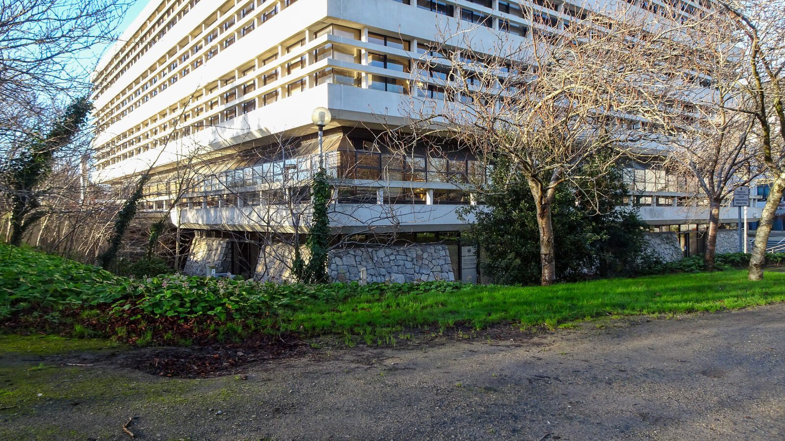 RANDOM IMAGES OF THE UNIVERSITY OF DUBLIN CAMPUS [MY MOTHER WHO IS 104 IN MAY DID NOT WANT TO COME WITH ME AS IT WAS TOO COLD]-226693-1