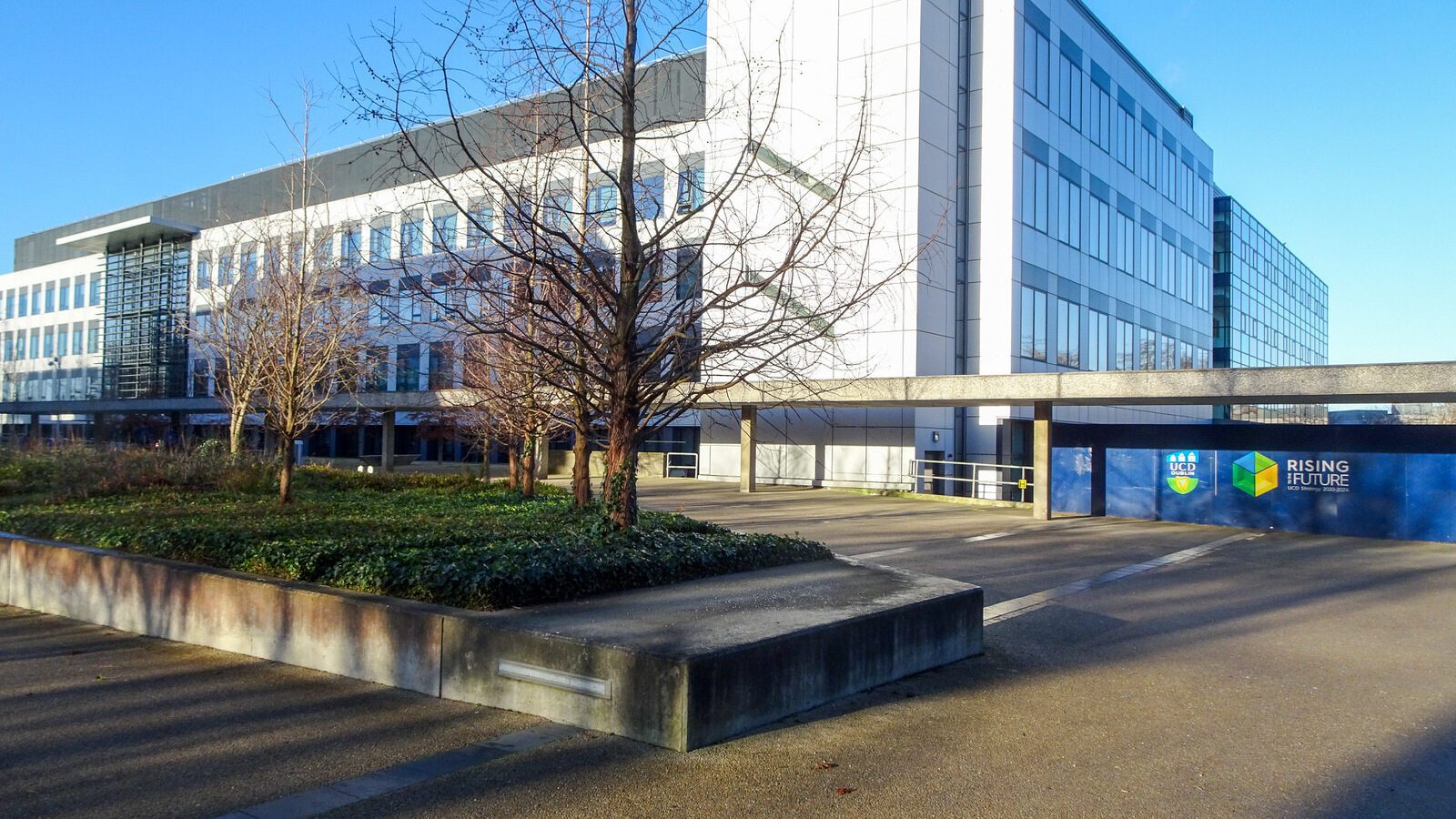 RANDOM IMAGES OF THE UNIVERSITY OF DUBLIN CAMPUS [MY MOTHER WHO IS 104 IN MAY DID NOT WANT TO COME WITH ME AS IT WAS TOO COLD]-226695-1