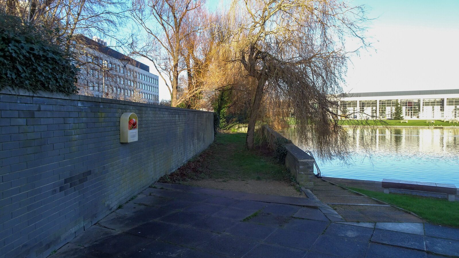 RANDOM IMAGES OF THE UNIVERSITY OF DUBLIN CAMPUS [MY MOTHER WHO IS 104 IN MAY DID NOT WANT TO COME WITH ME AS IT WAS TOO COLD]-226698-1