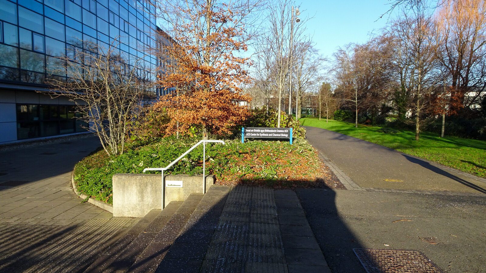 RANDOM IMAGES OF THE UNIVERSITY OF DUBLIN CAMPUS [MY MOTHER WHO IS 104 IN MAY DID NOT WANT TO COME WITH ME AS IT WAS TOO COLD]-226701-1