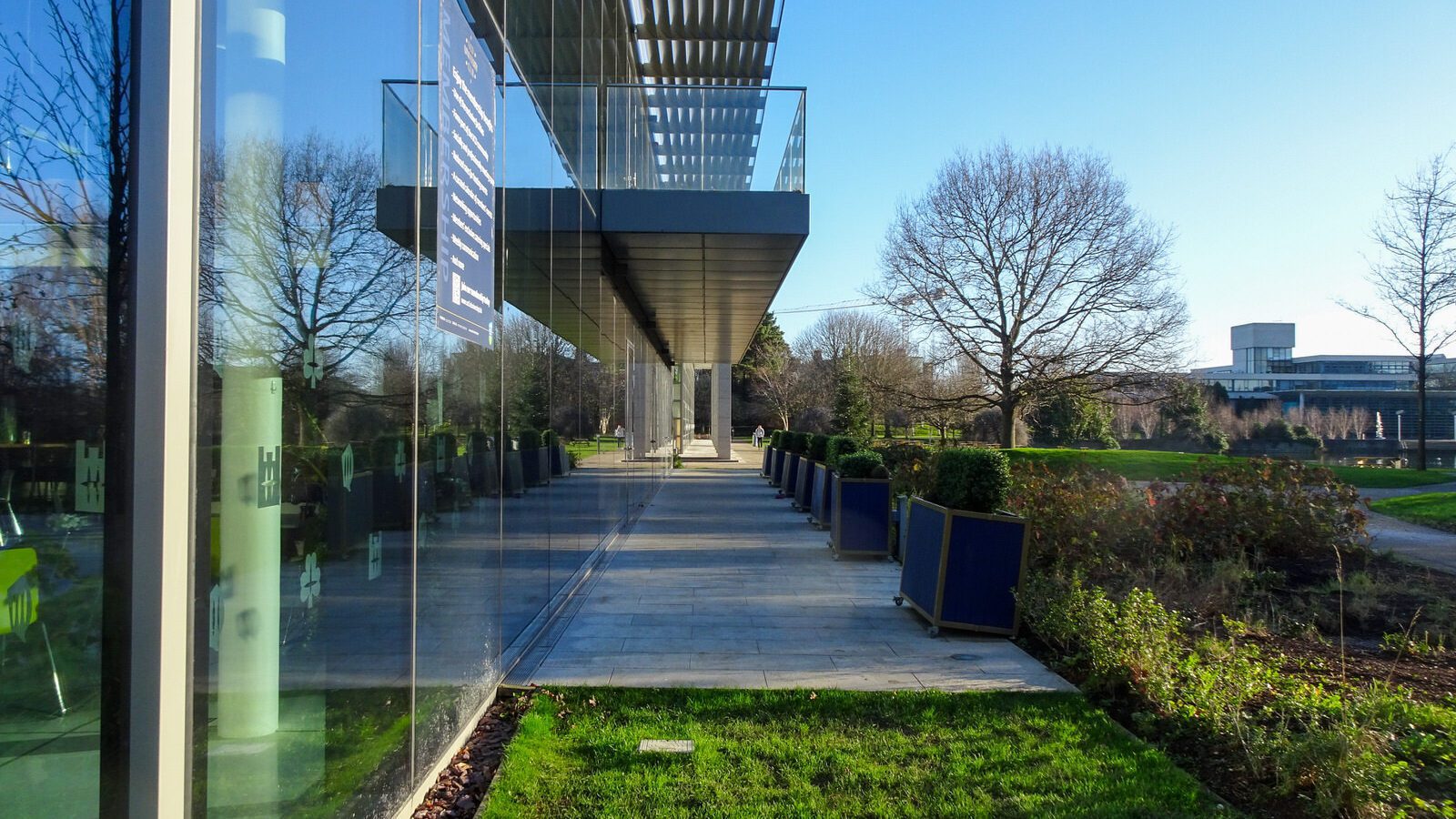 RANDOM IMAGES OF THE UNIVERSITY OF DUBLIN CAMPUS [MY MOTHER WHO IS 104 IN MAY DID NOT WANT TO COME WITH ME AS IT WAS TOO COLD]-226706-1