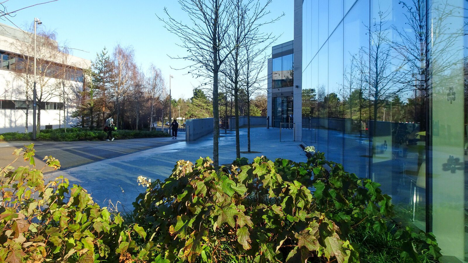 RANDOM IMAGES OF THE UNIVERSITY OF DUBLIN CAMPUS [MY MOTHER WHO IS 104 IN MAY DID NOT WANT TO COME WITH ME AS IT WAS TOO COLD]-226707-1