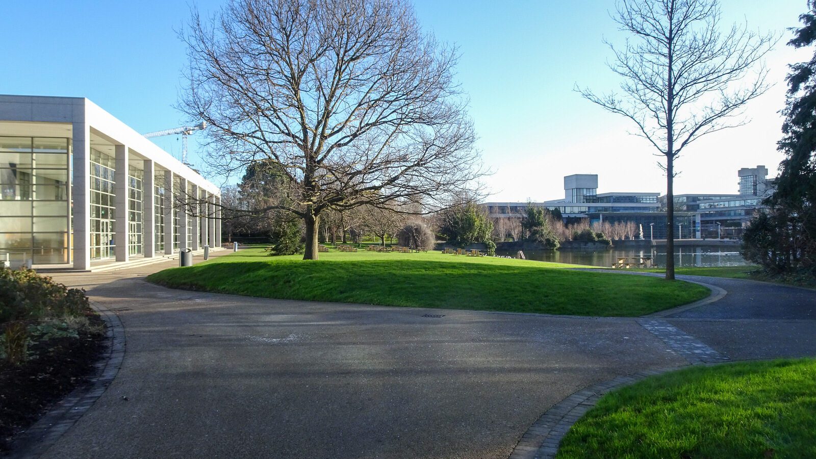 RANDOM IMAGES OF THE UNIVERSITY OF DUBLIN CAMPUS [MY MOTHER WHO IS 104 IN MAY DID NOT WANT TO COME WITH ME AS IT WAS TOO COLD]-226713-1