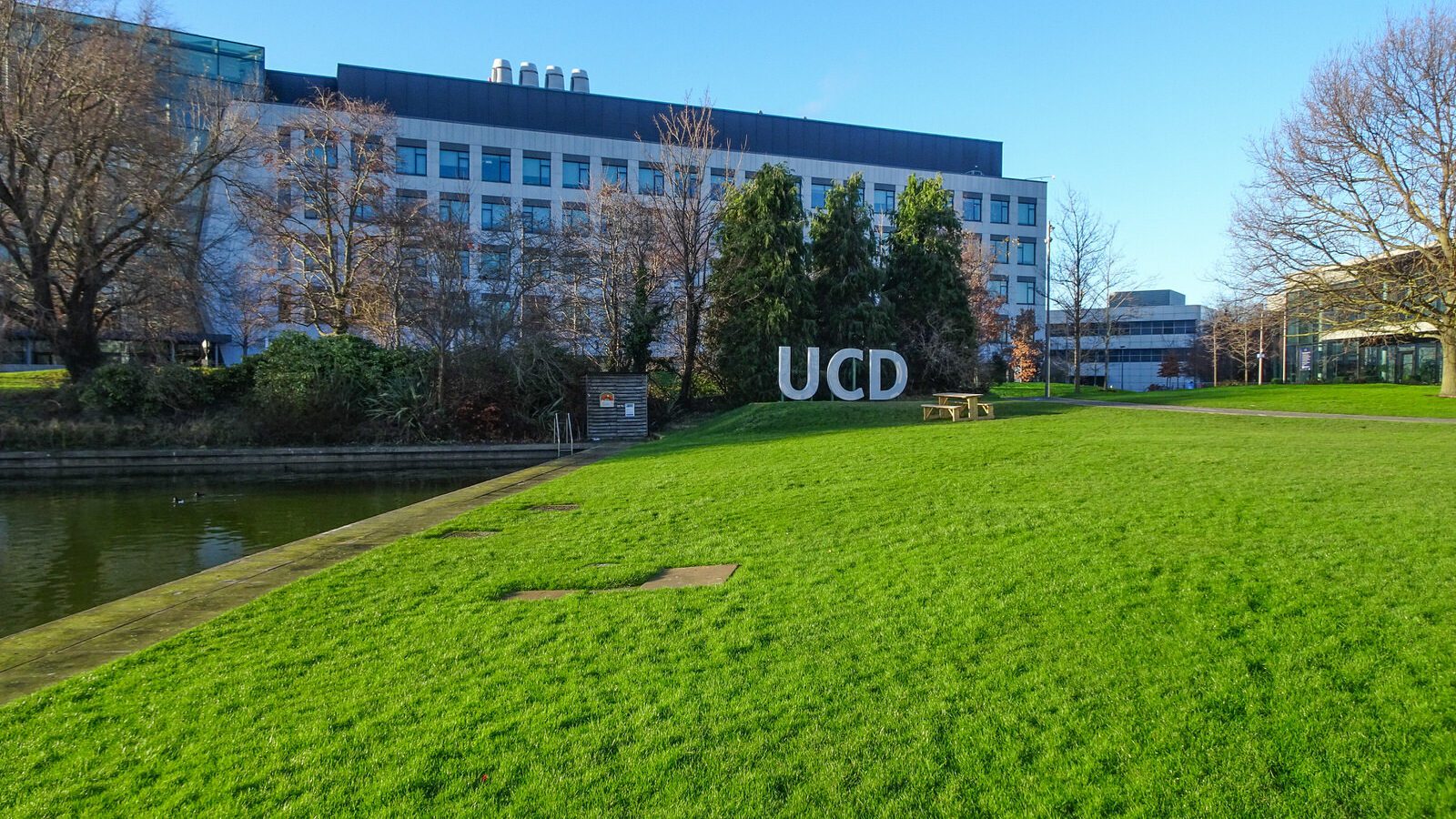 RANDOM IMAGES OF THE UNIVERSITY OF DUBLIN CAMPUS [MY MOTHER WHO IS 104 IN MAY DID NOT WANT TO COME WITH ME AS IT WAS TOO COLD]-226717-1