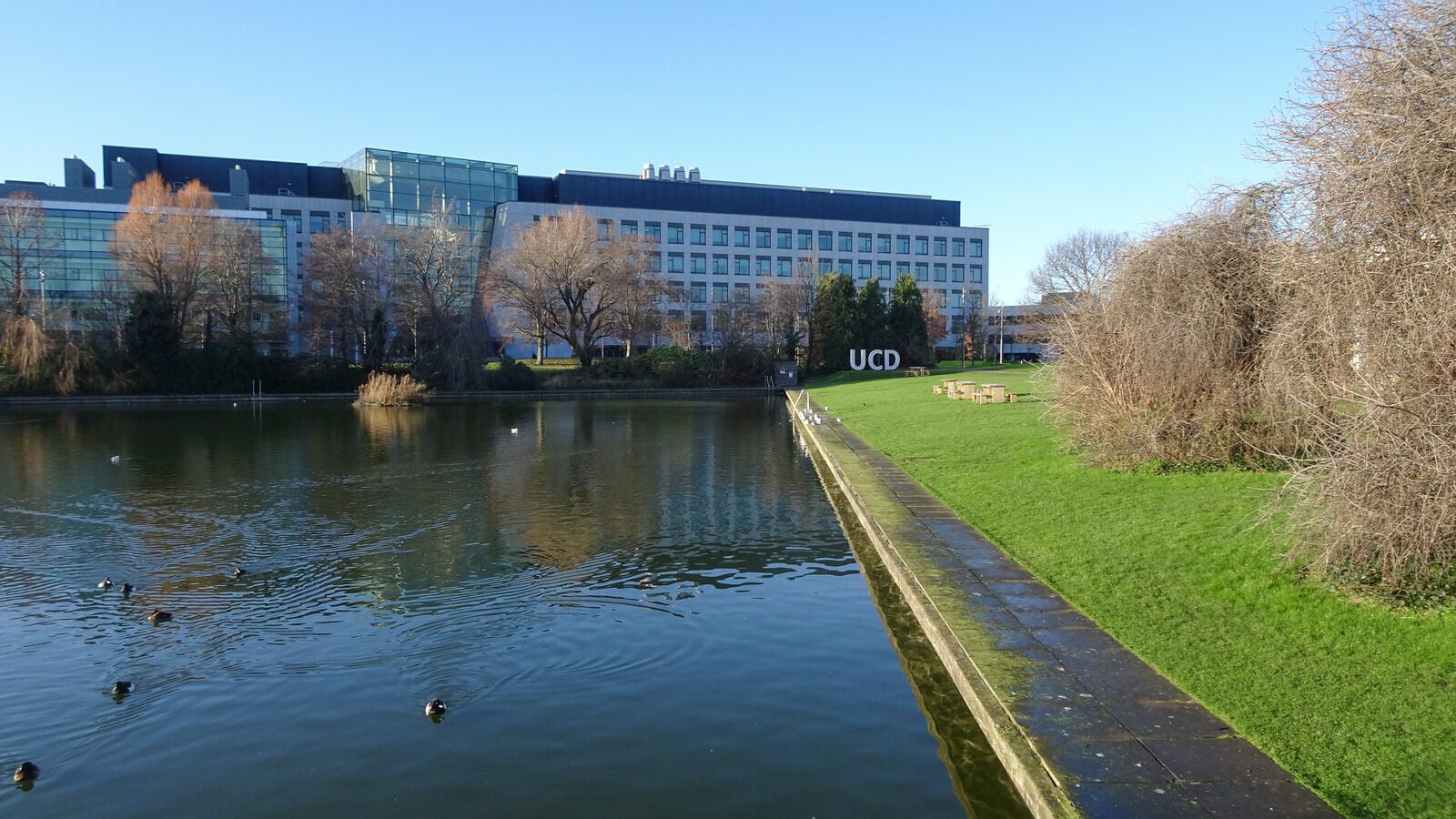 RANDOM IMAGES OF THE UNIVERSITY OF DUBLIN CAMPUS [MY MOTHER WHO IS 104 IN MAY DID NOT WANT TO COME WITH ME AS IT WAS TOO COLD]-226720-1