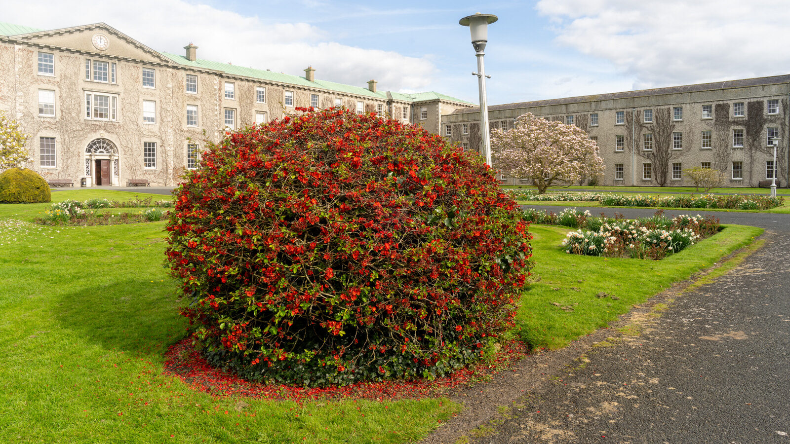 ST PATRICK'S COLLEGE IN MAYNOOTH [COUNTY KILDARE]-223060-1