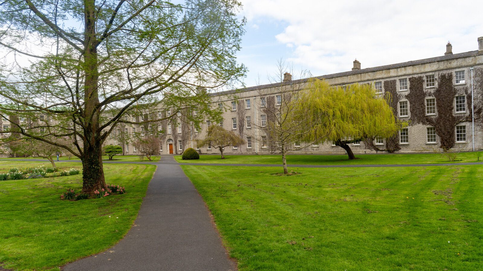 ST PATRICK'S COLLEGE IN MAYNOOTH [COUNTY KILDARE]-223063-1