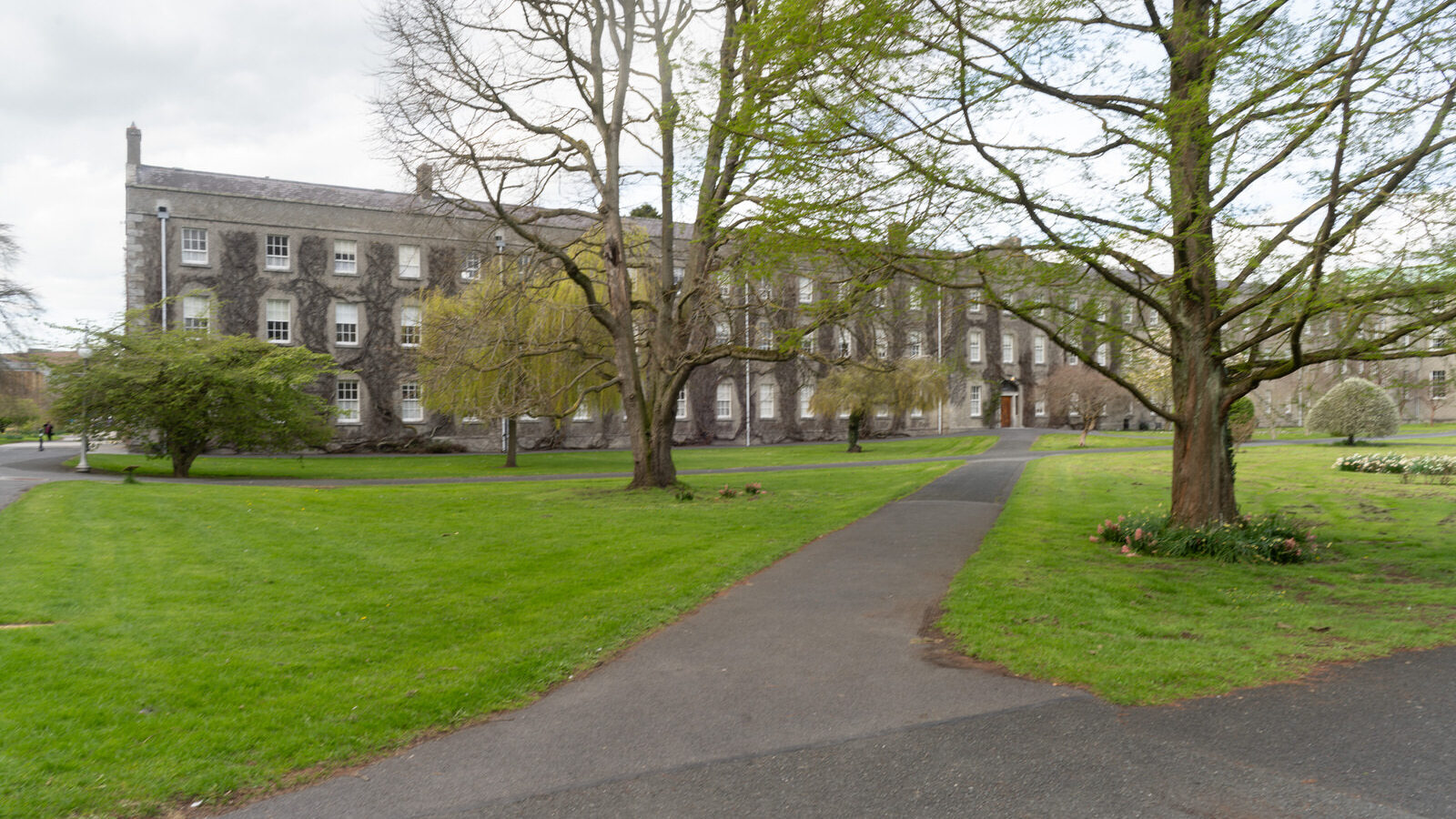 ST PATRICK'S COLLEGE IN MAYNOOTH [COUNTY KILDARE]-223064-1