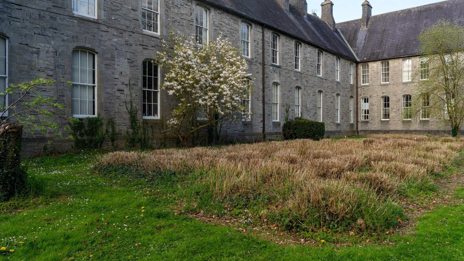 ST PATRICK'S COLLEGE IN MAYNOOTH [COUNTY KILDARE]-223088-1