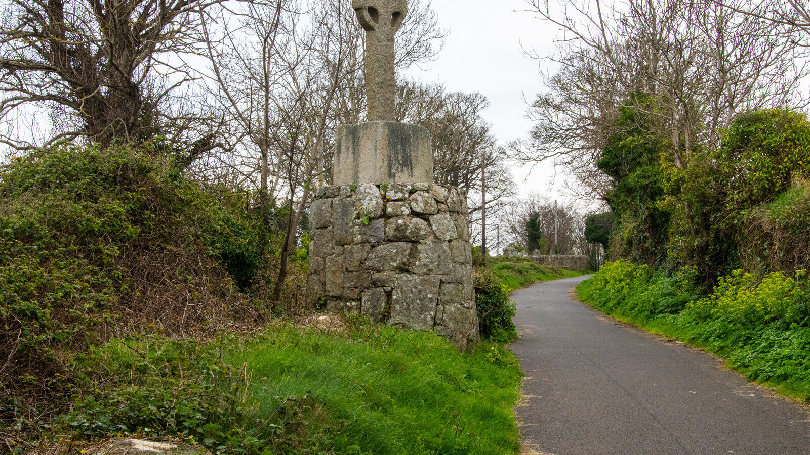 THE LAUGHANSTOWN CROSSES [NEAR TULLY CHURCH]-223518-1