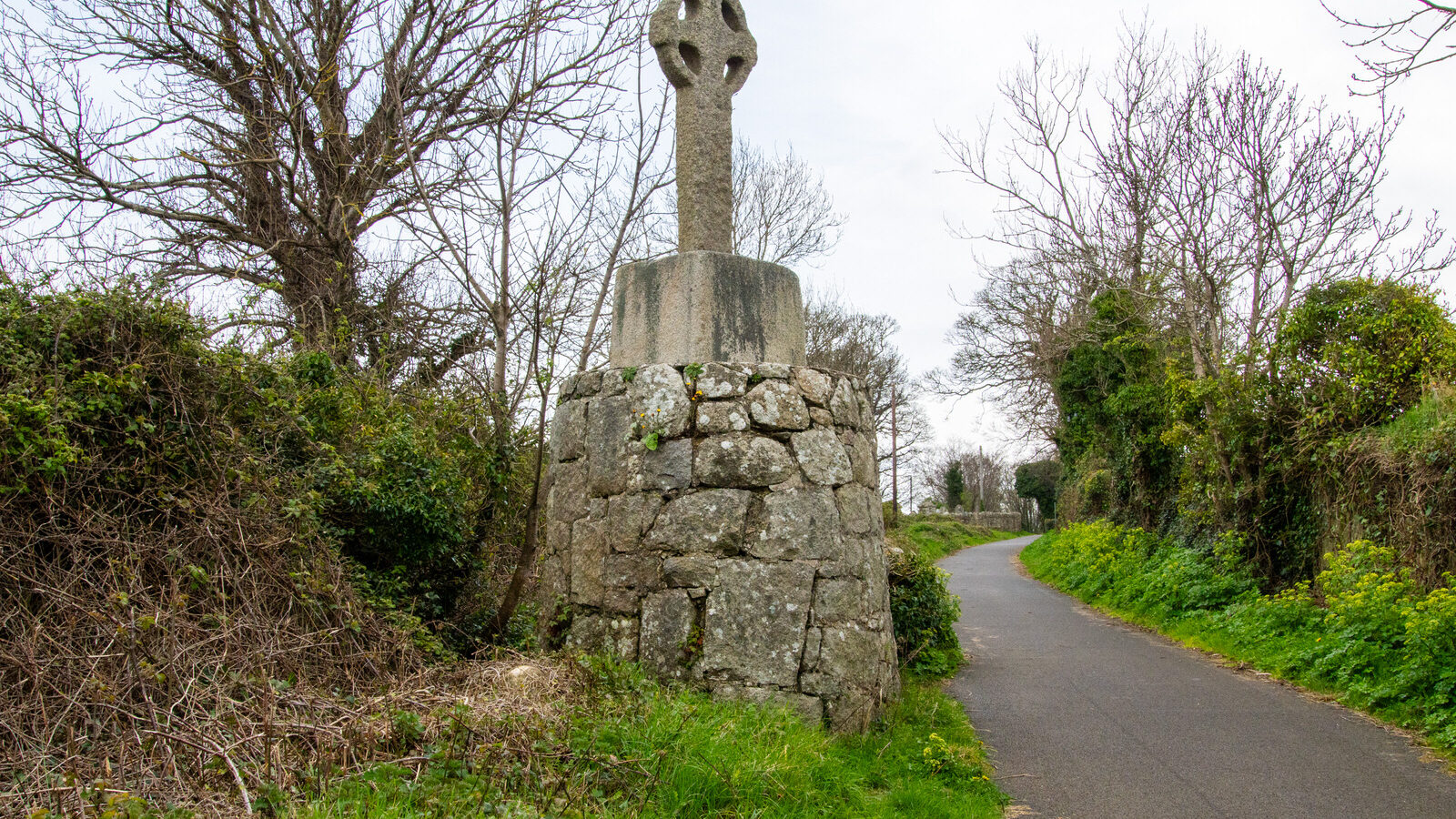 THE LAUGHANSTOWN CROSSES [NEAR TULLY CHURCH]-223519-1