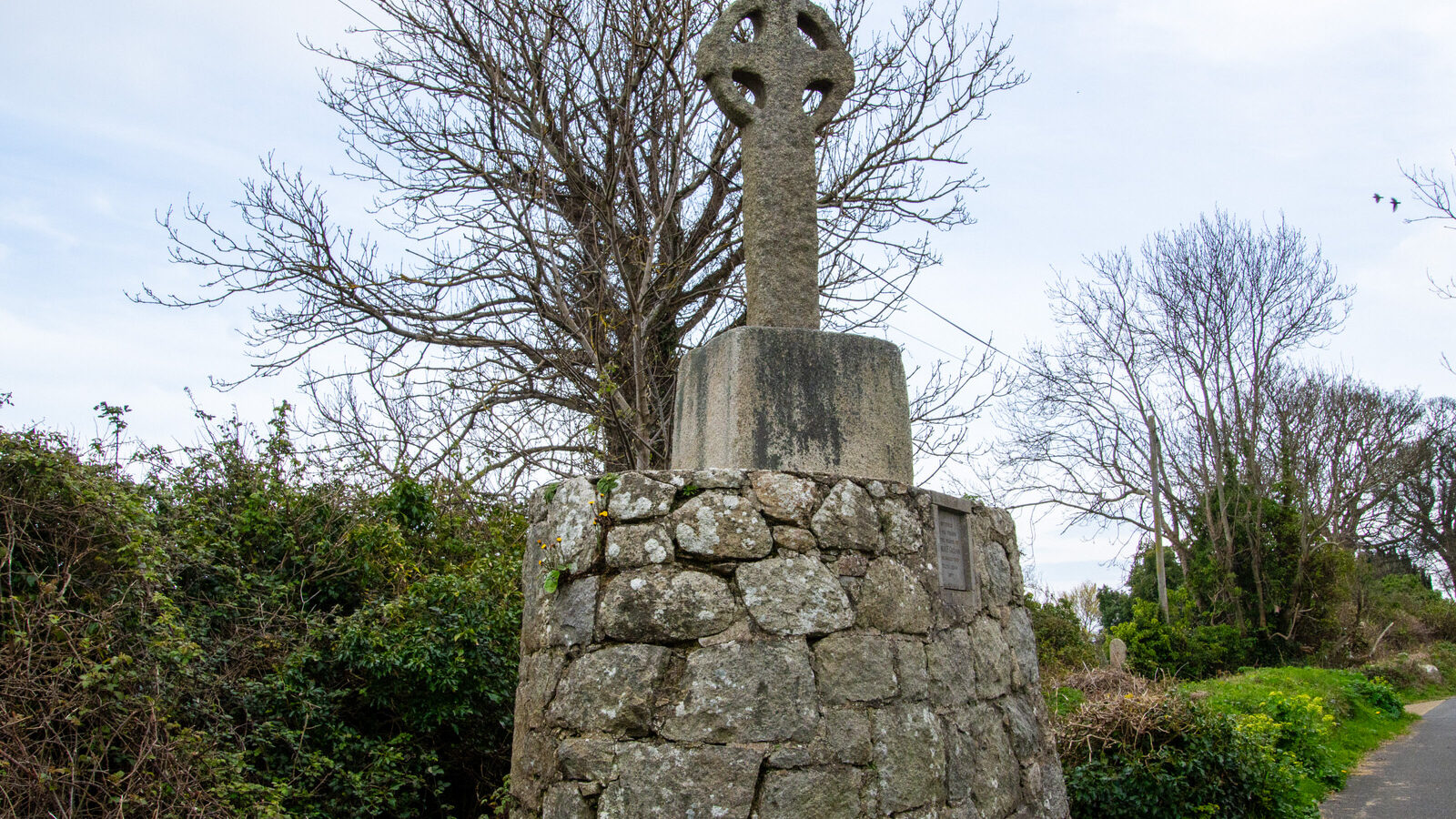 THE LAUGHANSTOWN CROSSES [NEAR TULLY CHURCH]-223520-1