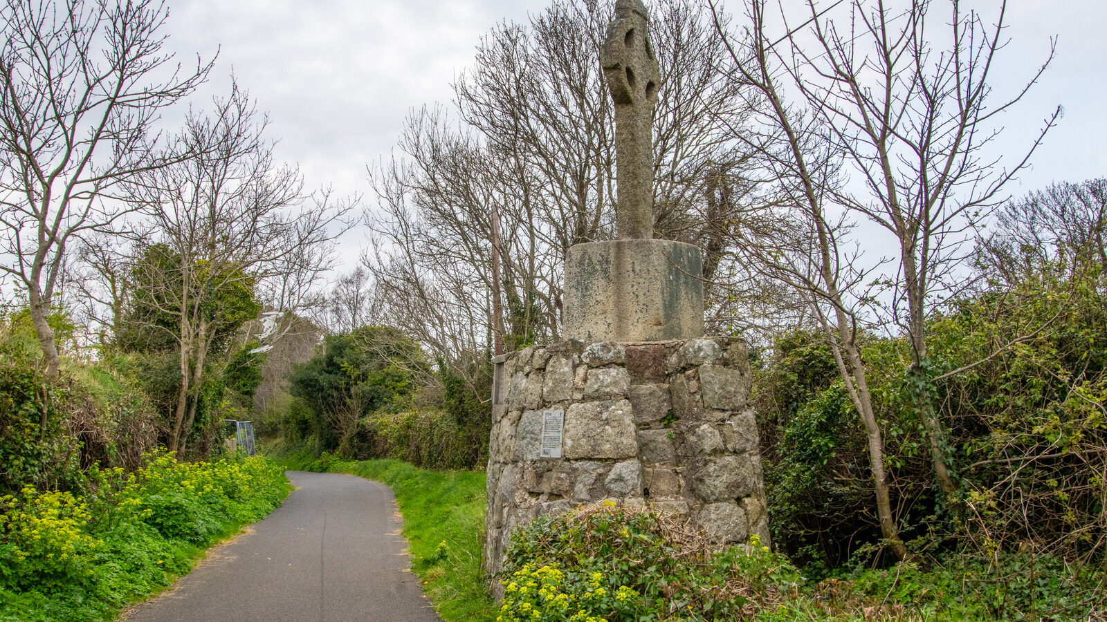 THE LAUGHANSTOWN CROSSES [NEAR TULLY CHURCH]-223521-1