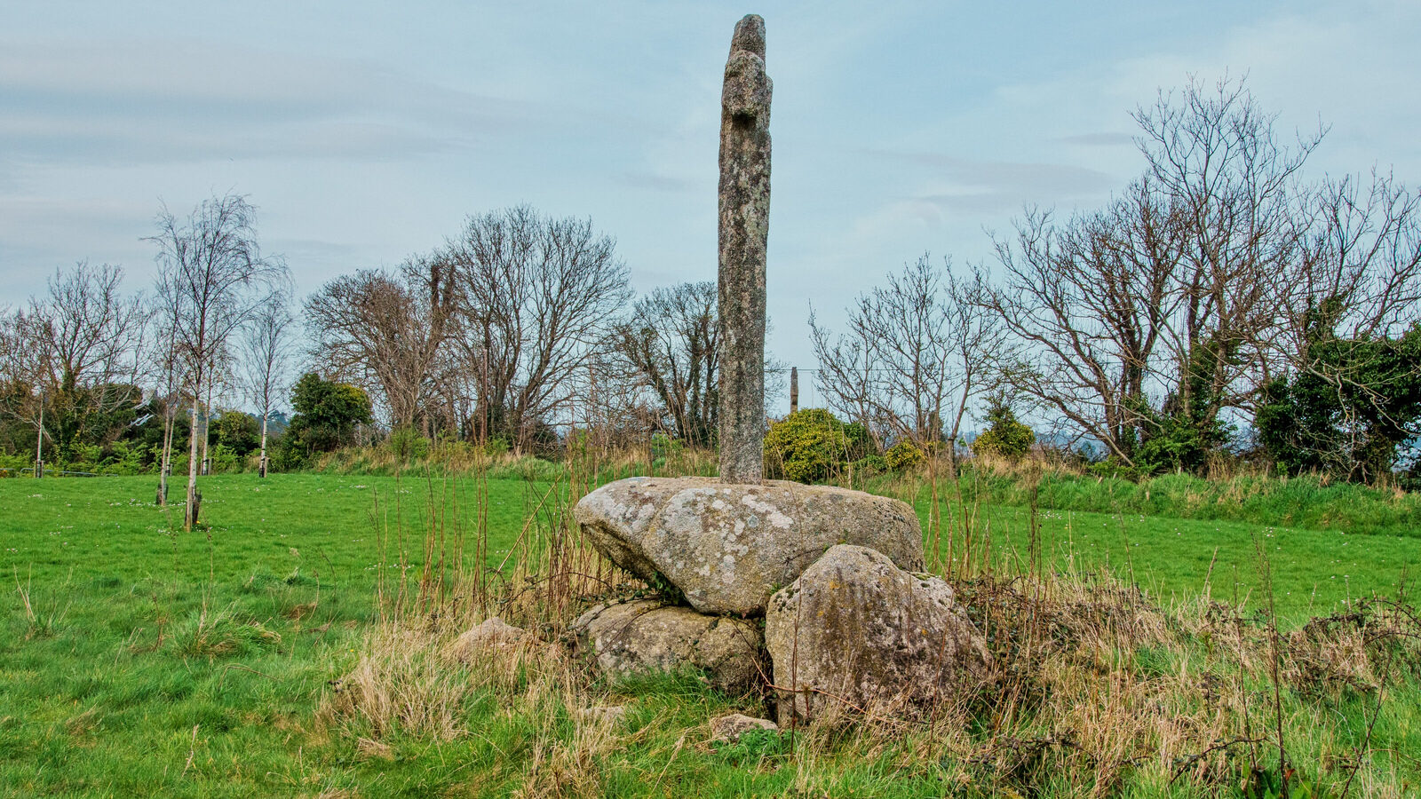 THE LAUGHANSTOWN CROSSES [NEAR TULLY CHURCH]-223522-1