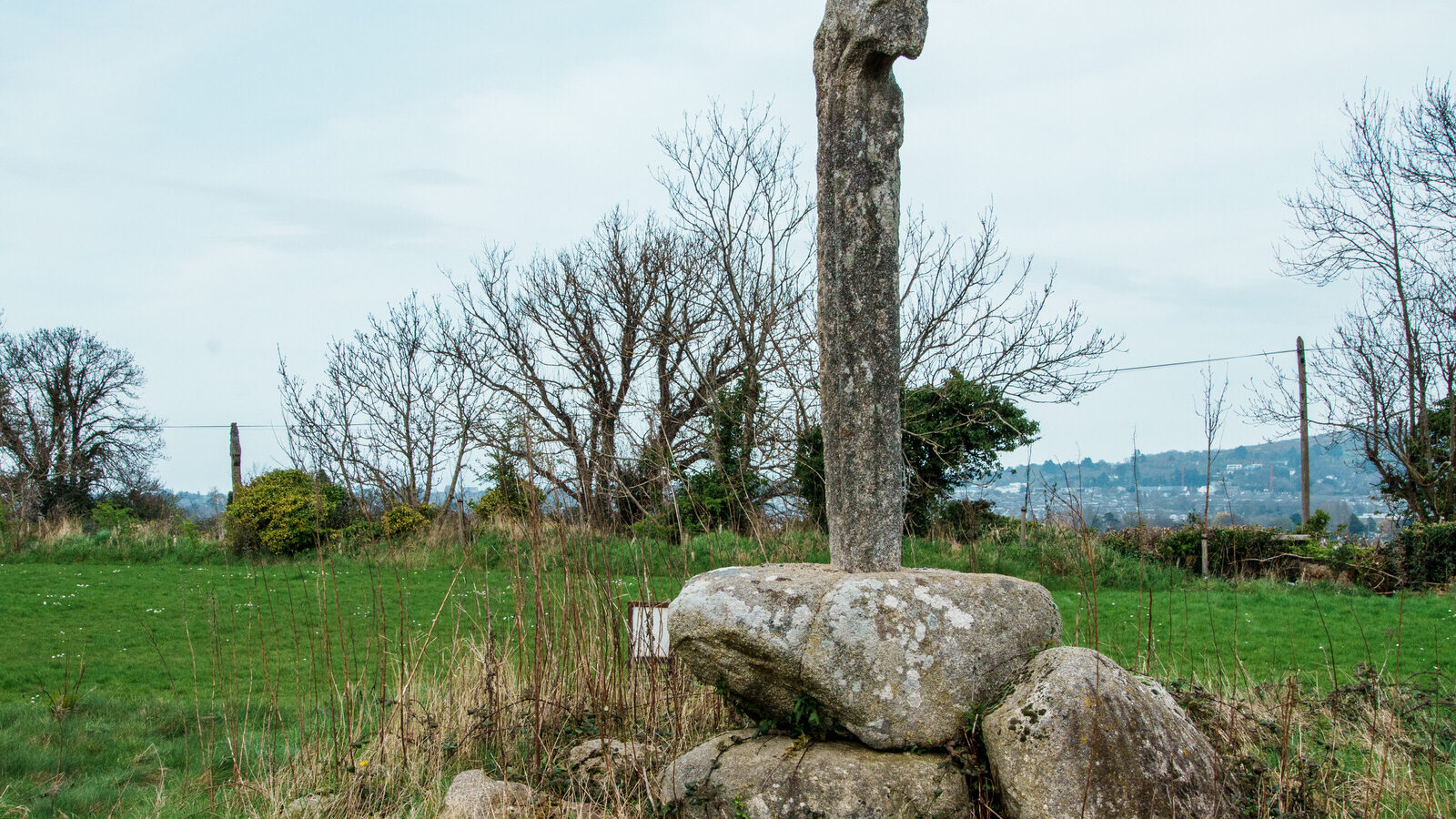 THE LAUGHANSTOWN CROSSES [NEAR TULLY CHURCH]-223523-1