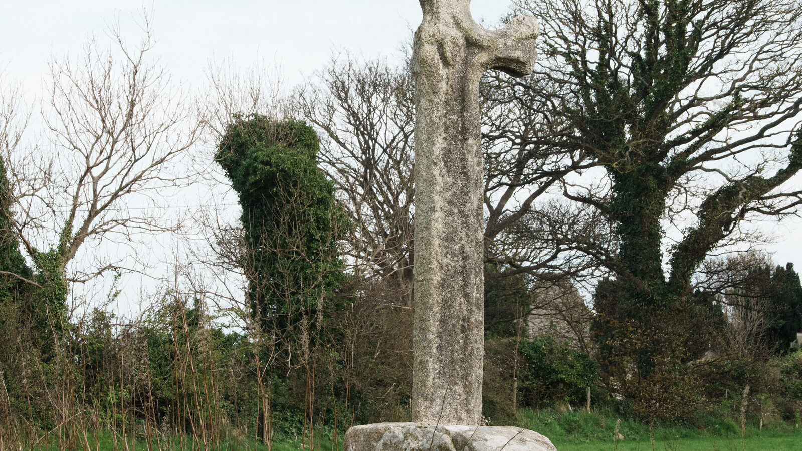 THE LAUGHANSTOWN CROSSES [NEAR TULLY CHURCH]-223524-1