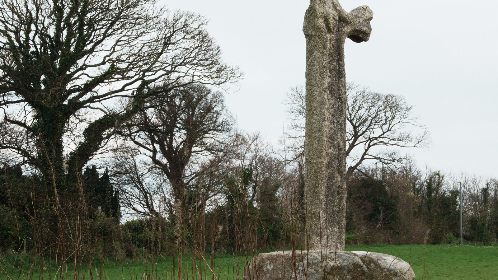 THE LAUGHANSTOWN CROSSES [NEAR TULLY CHURCH]-223525-1