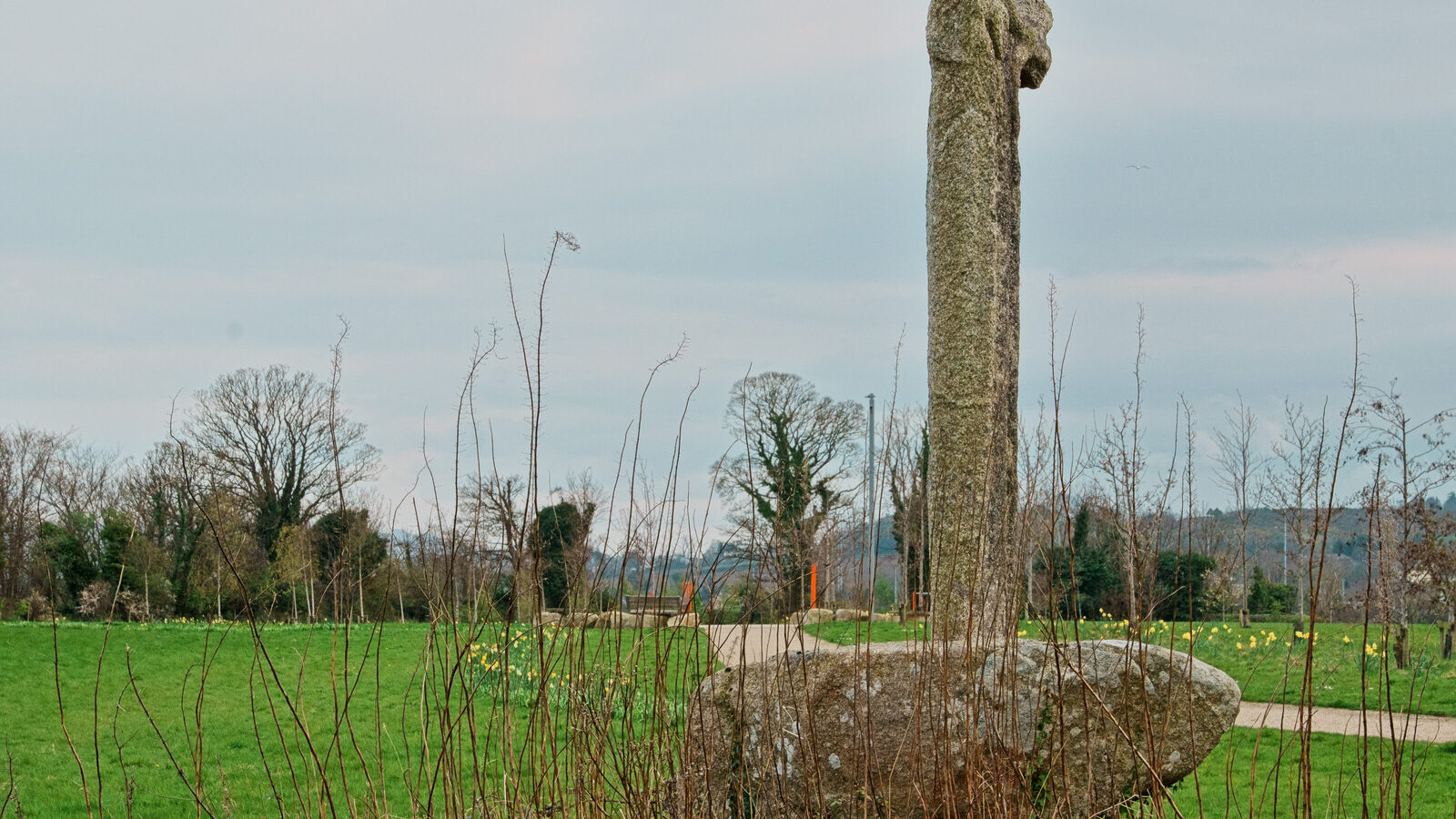 THE LAUGHANSTOWN CROSSES [NEAR TULLY CHURCH]-223526-1