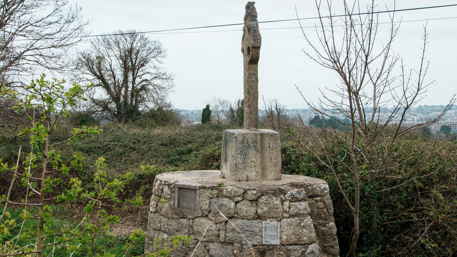THE LAUGHANSTOWN CROSSES [NEAR TULLY CHURCH]-223530-1