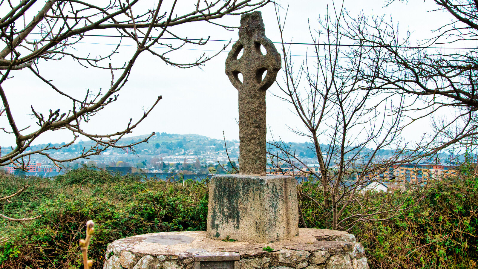 THE LAUGHANSTOWN CROSSES [NEAR TULLY CHURCH]-223531-1