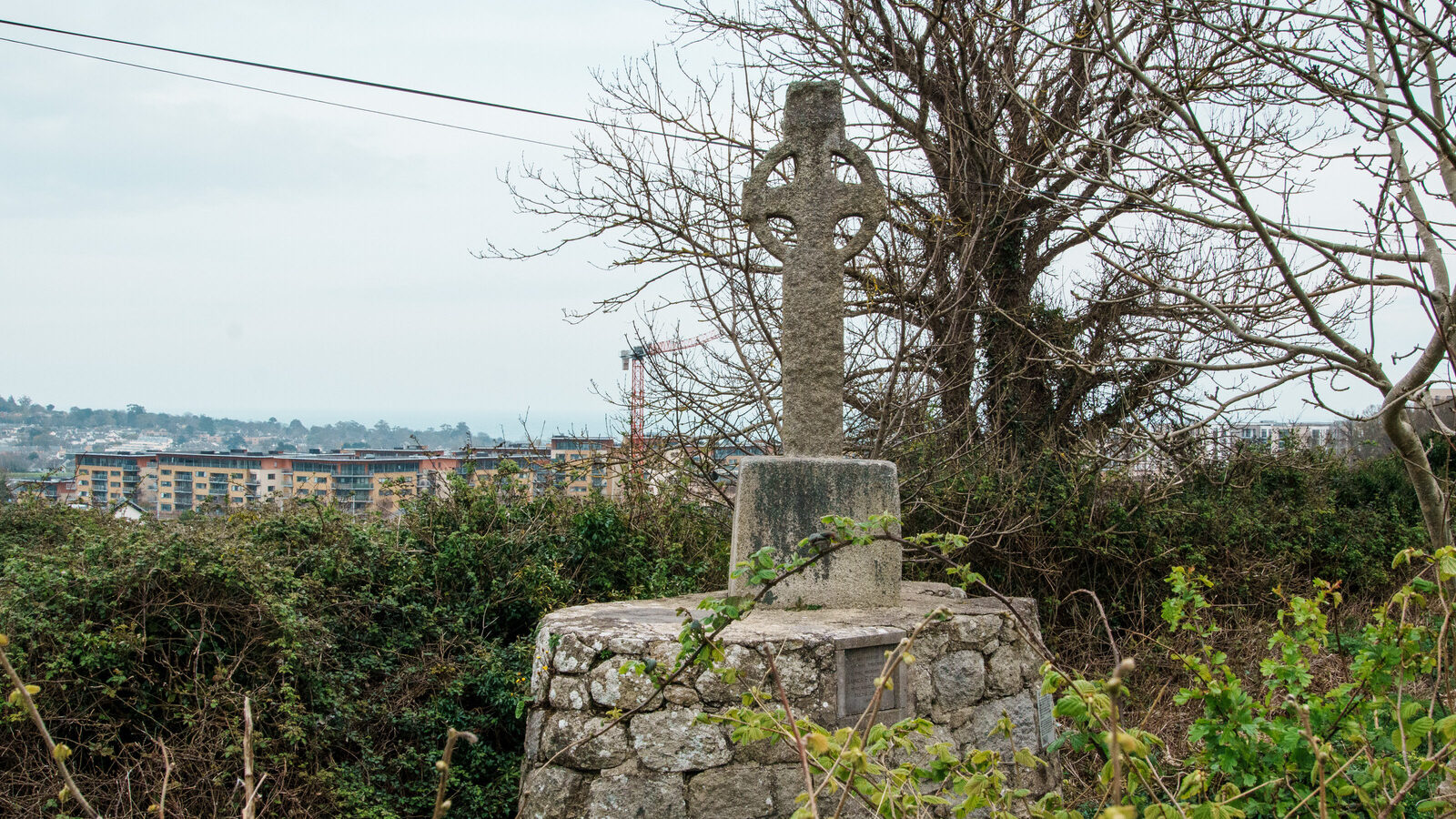 THE LAUGHANSTOWN CROSSES [NEAR TULLY CHURCH]-223532-1
