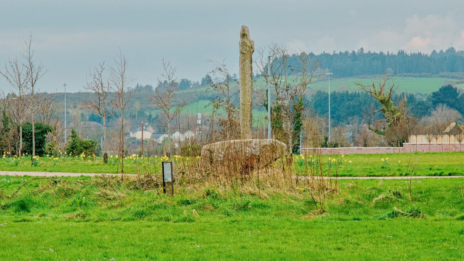 THE LAUGHANSTOWN CROSSES [NEAR TULLY CHURCH]-223533-1