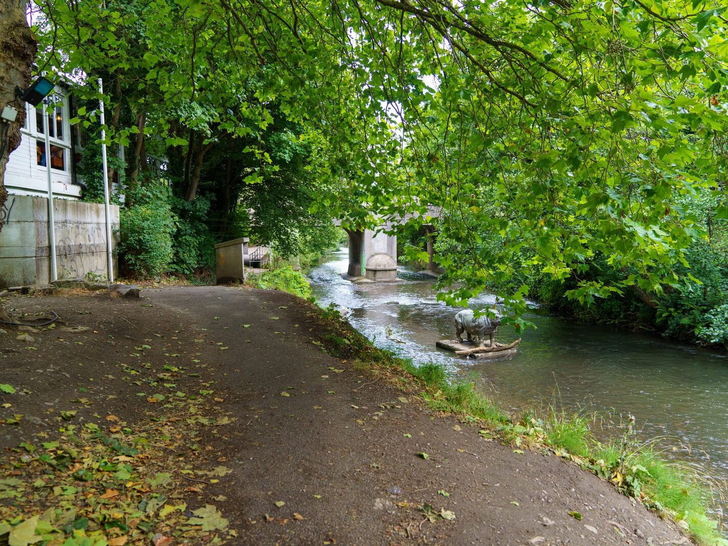 A LONELY RHINO IN THE DODDER [BEHIND THE DROPPING WELL PUB]-239108-1