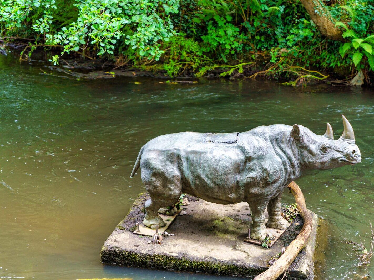 A LONELY RHINO IN THE DODDER [BEHIND THE DROPPING WELL PUB]-239110-1