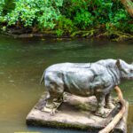 A LONELY RHINO IN THE DODDER [BEHIND THE DROPPING WELL PUB]-239110-1