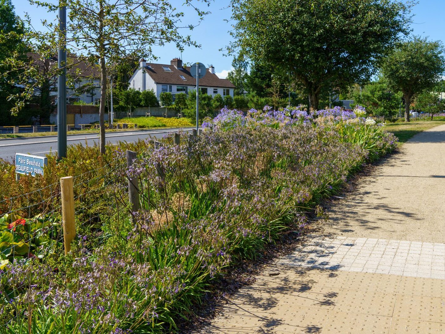 AN ATTRACTIVE COLLECTION OF MICRO GARDENS AND POCKET PARKS [ON LOWER KILMACUD ROAD]-239061-1