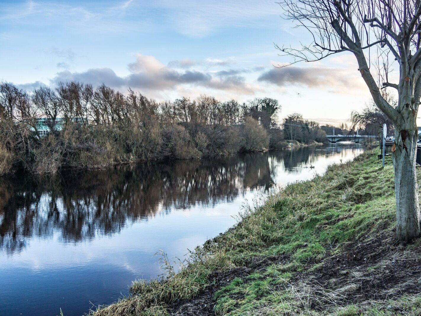 CANNING PLACE AND ROWAN TERRACE IN NEWBRIDGE [CHRISTMAS 2012]--238850-1