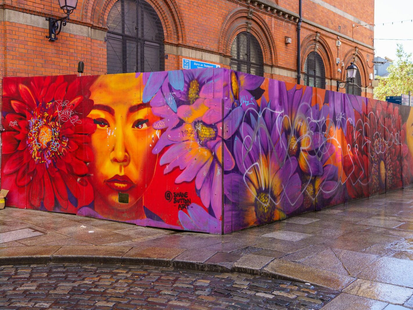 TEMPLE BAR WAS VERY COLOURFUL TODAY [IMMEDIATELY AFTER SOME REALLY INTENSE RAIN]-239049-1