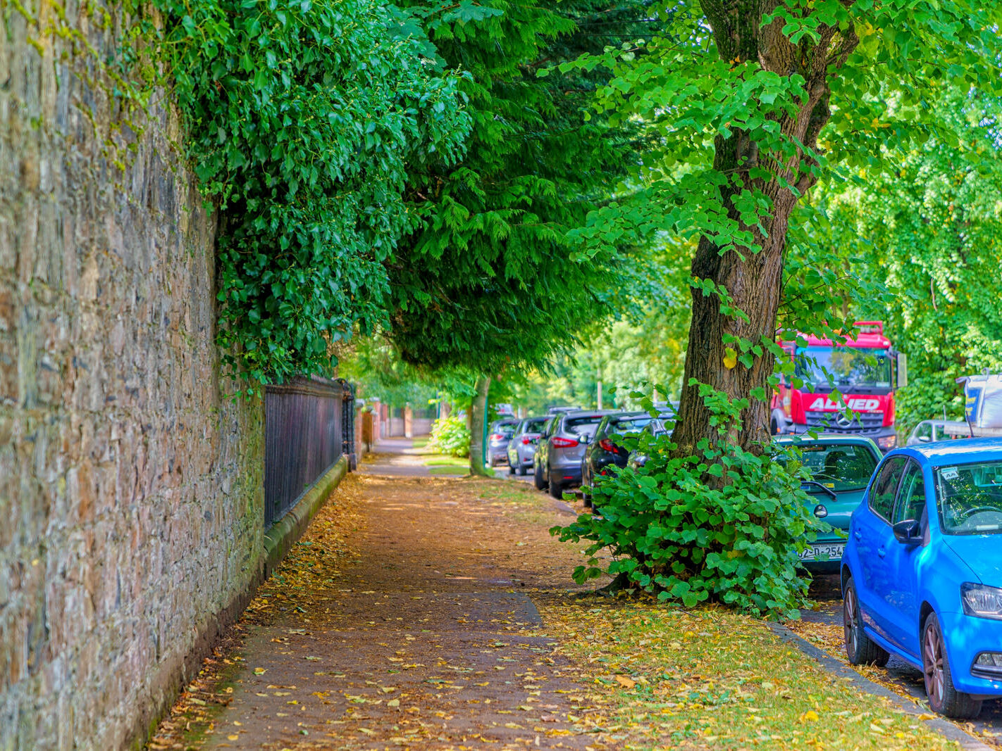 TEMPLE ROAD IN DARTRY DUBLIN 6 [23 AUGUST 2024]-239157-1