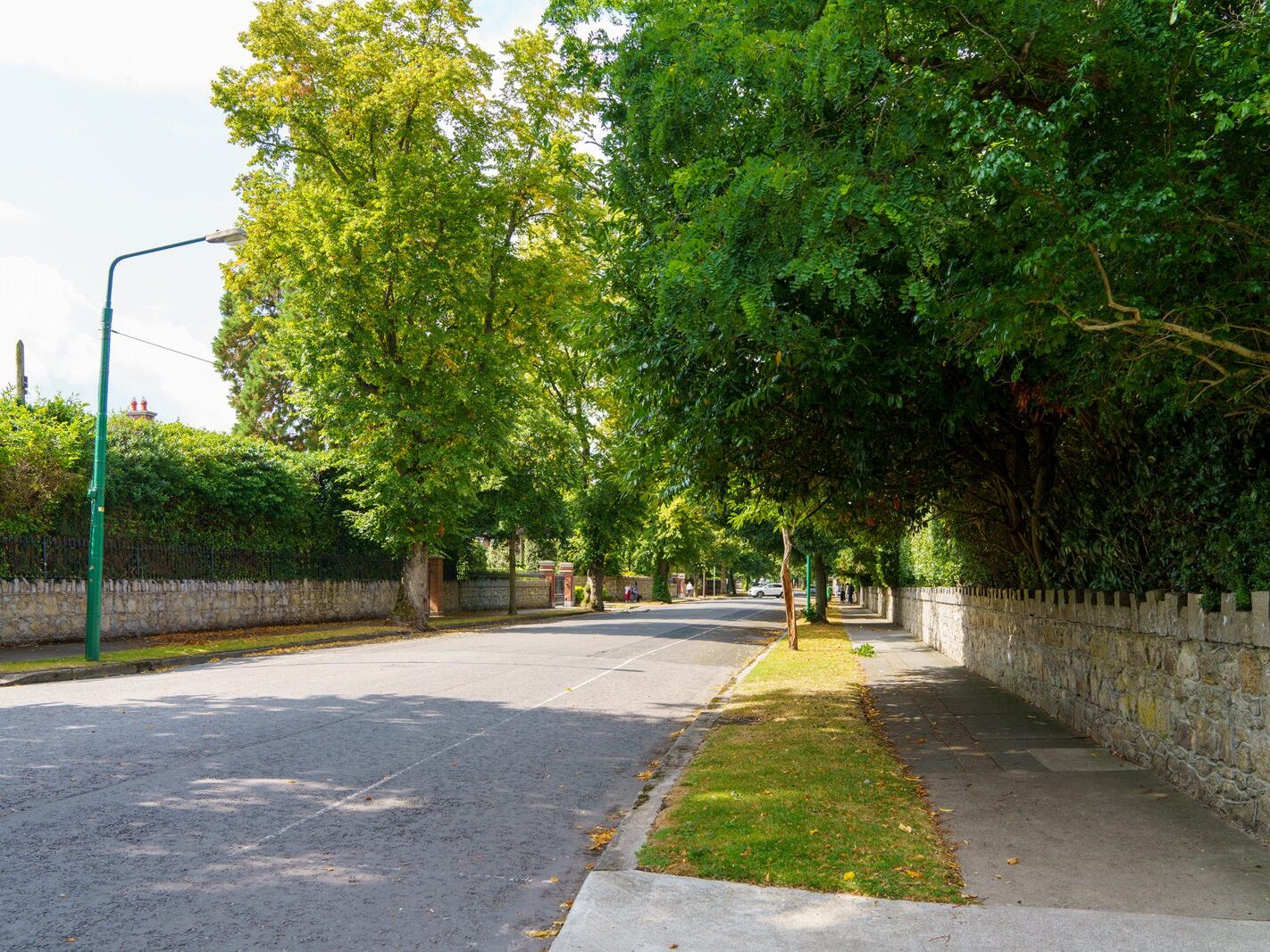 TEMPLE ROAD IN DARTRY DUBLIN 6 [23 AUGUST 2024]-239162-1