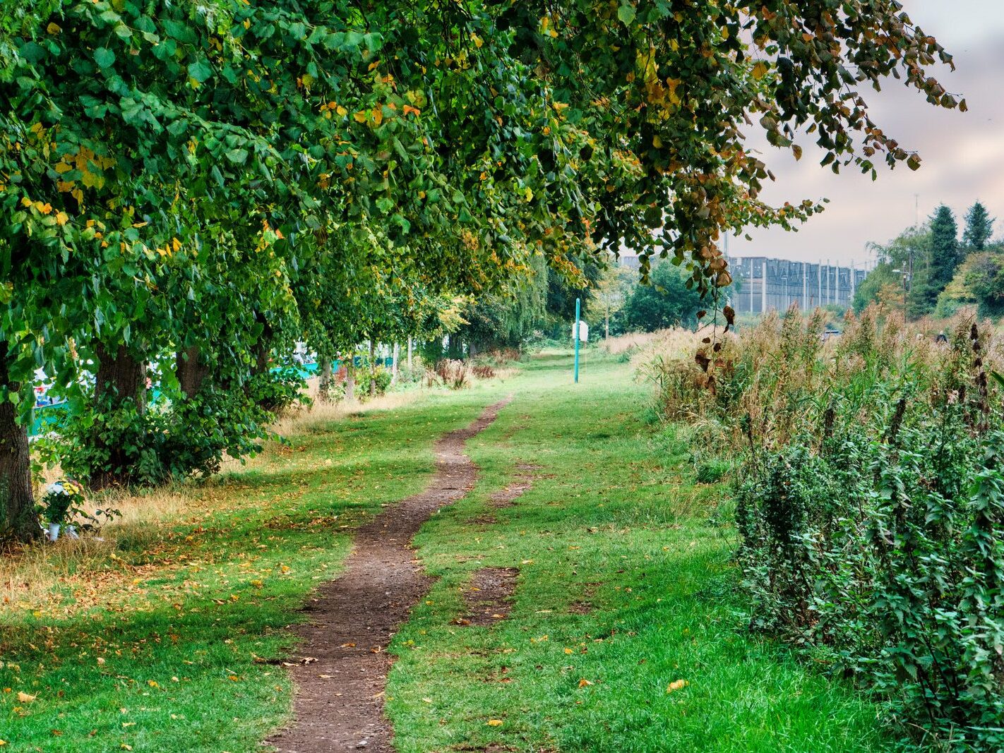 BETWEEN LOCK 5 AND LOCK 6 [ROYAL CANAL DUBLIN]-241079-1