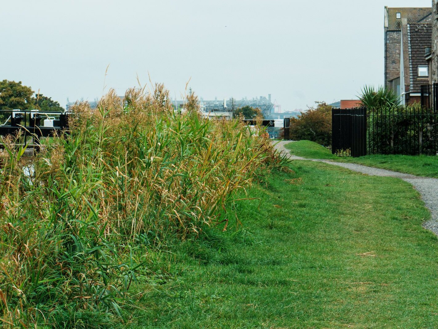 BETWEEN LOCK 5 AND LOCK 6 [ROYAL CANAL DUBLIN]-241086-1