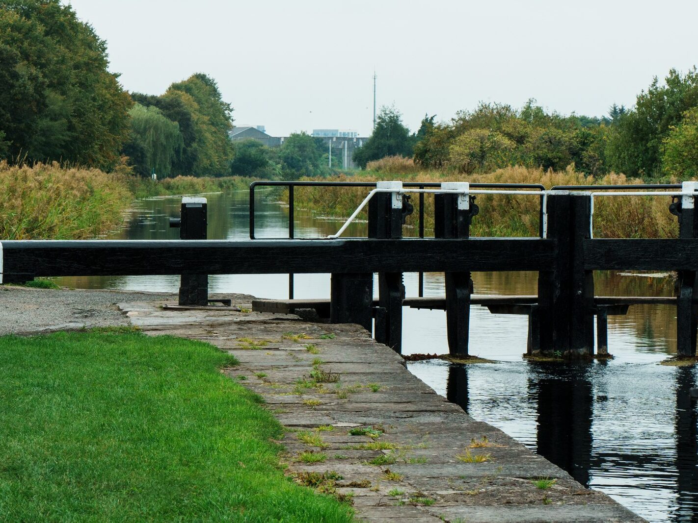 BETWEEN LOCK 5 AND LOCK 6 [ROYAL CANAL DUBLIN]-241098-1