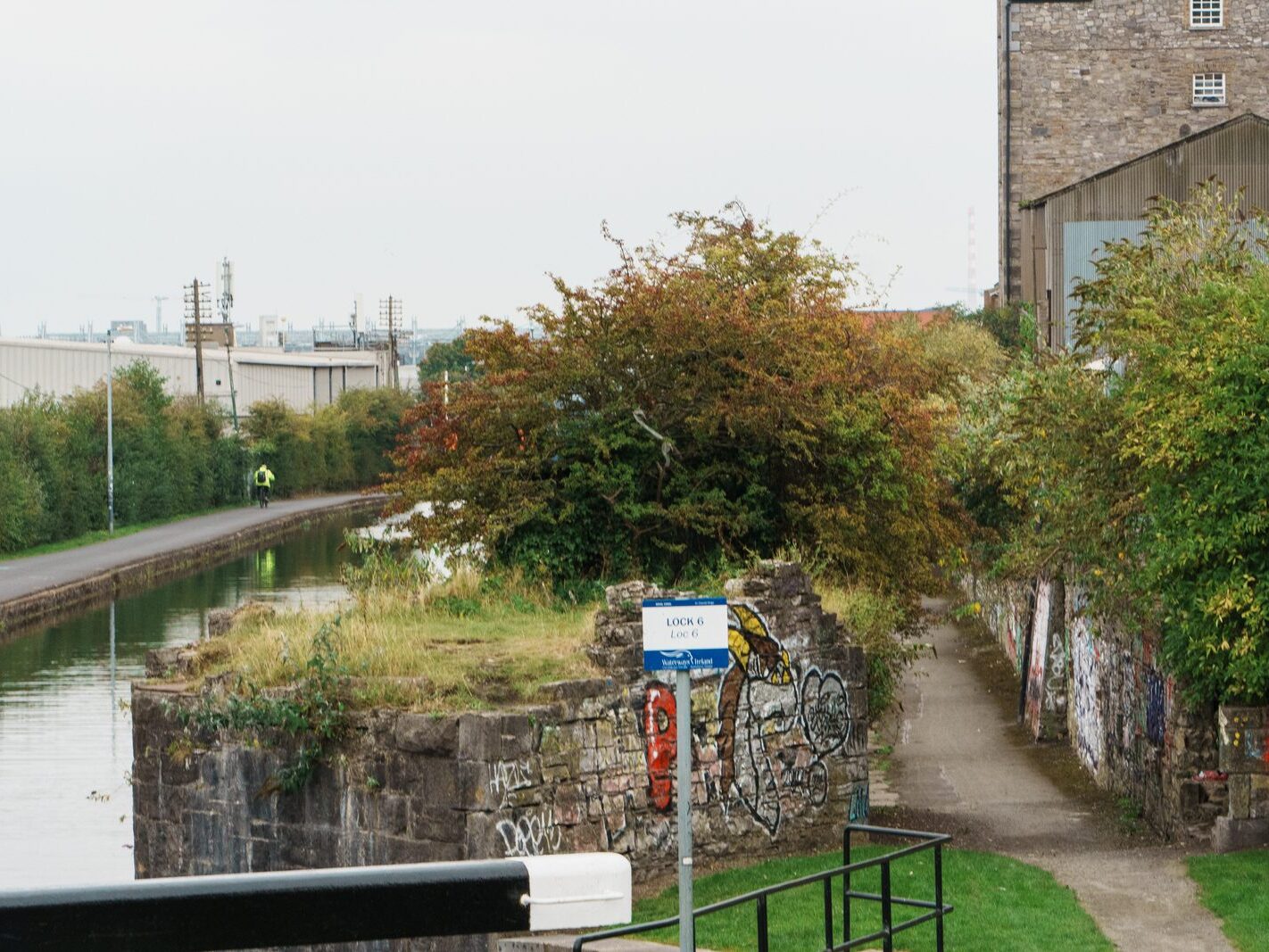 BETWEEN LOCK 5 AND LOCK 6 [ROYAL CANAL DUBLIN]-241100-1