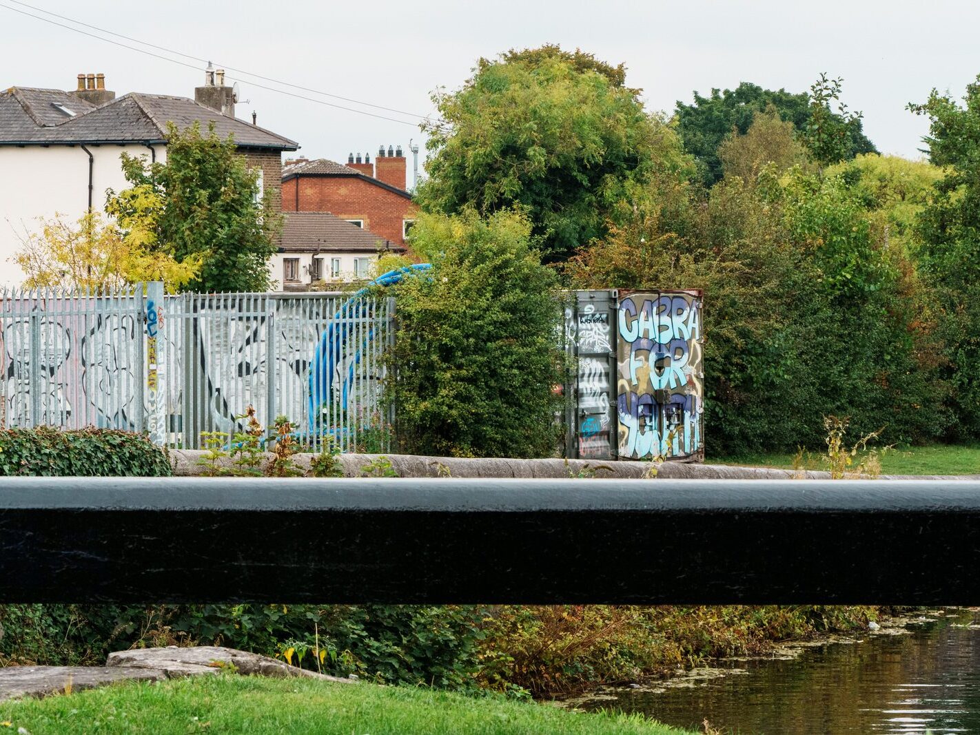 BETWEEN LOCK 5 AND LOCK 6 [ROYAL CANAL DUBLIN]-241101-1