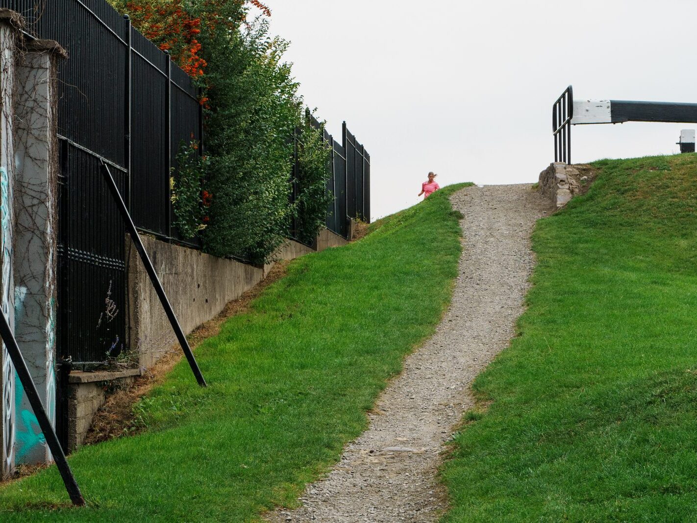 BETWEEN LOCK 5 AND LOCK 6 [ROYAL CANAL DUBLIN]-241107-1